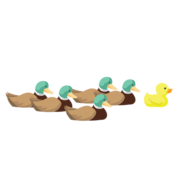 Non-specialist advisers - flock of ducks with one in the different colour
