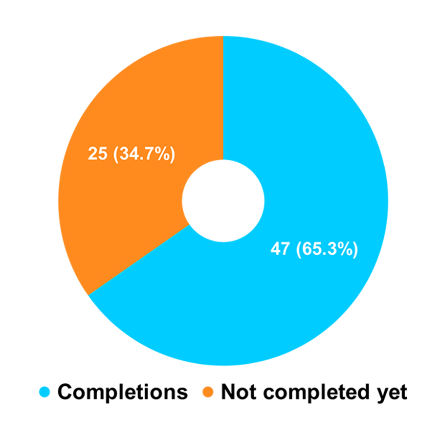 Successful completion of plans - donut chart showing 65.3% completed and 34.7% not completed